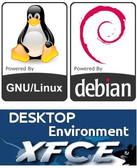 Sistemi professionali con GNU Linux Desktop e Server