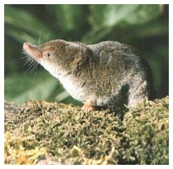 saper cambiare addattandosi alle mutate condizioni ambientali e' da sempre la condizione essenziale per progredire e crescere